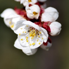 DSC_0213-2-2