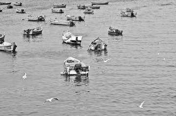 DSC_0154-2.jpg