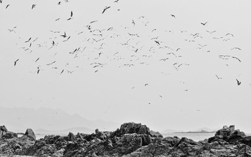 DSC_0035-2.jpg