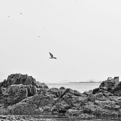 DSC_0039-2.jpg
