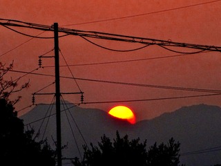 4BD26127-27D9-41ED-B69D-0761C6C19555/L0/001