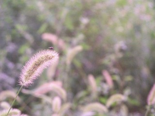 准备起飞