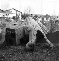 031