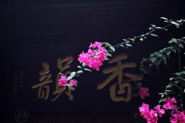 香陨