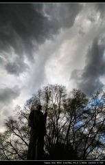 Duke雕像@Duke University