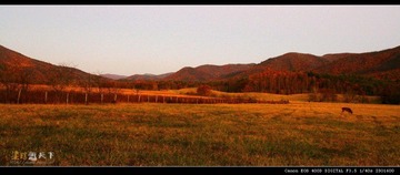 百年孤独@Great Smoky Mountain National Park