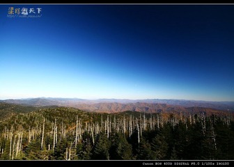 队列@Great Smoky Mountain National Park
