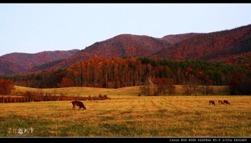 归@Great Smoky Mountain National Park