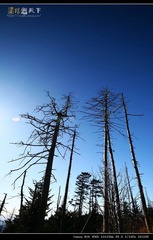 伙伴@Great Smoky Mountain National Park