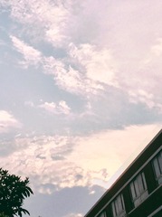 836A7666-47CF-4438-B179-0894B22213A7/L0/001