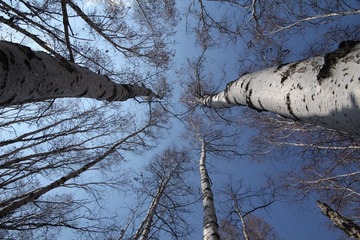 IMG_3791.JPG
