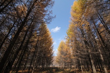 IMG_3802.JPG