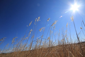 IMG_4363.JPG