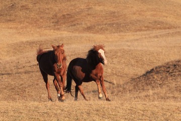 IMG_4269.JPG