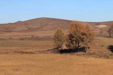 IMG_4310.JPG