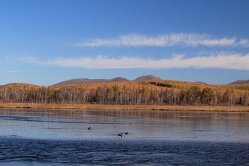 IMG_4312.JPG