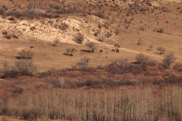 IMG_4463.JPG