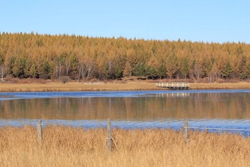 IMG_4481.JPG