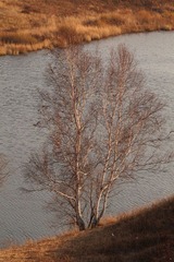 IMG_4693.JPG