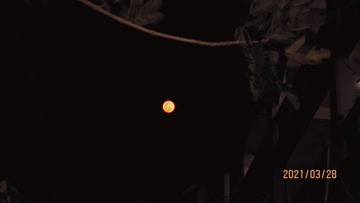 1495151