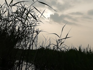 1206297