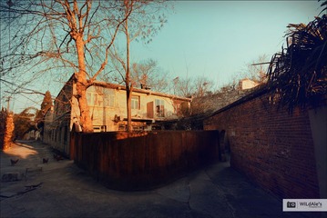 _MG_9687S