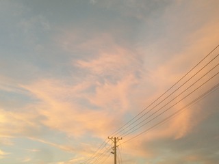 2603959