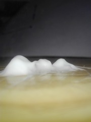163604