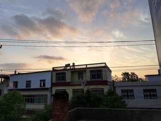 317419