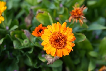 001