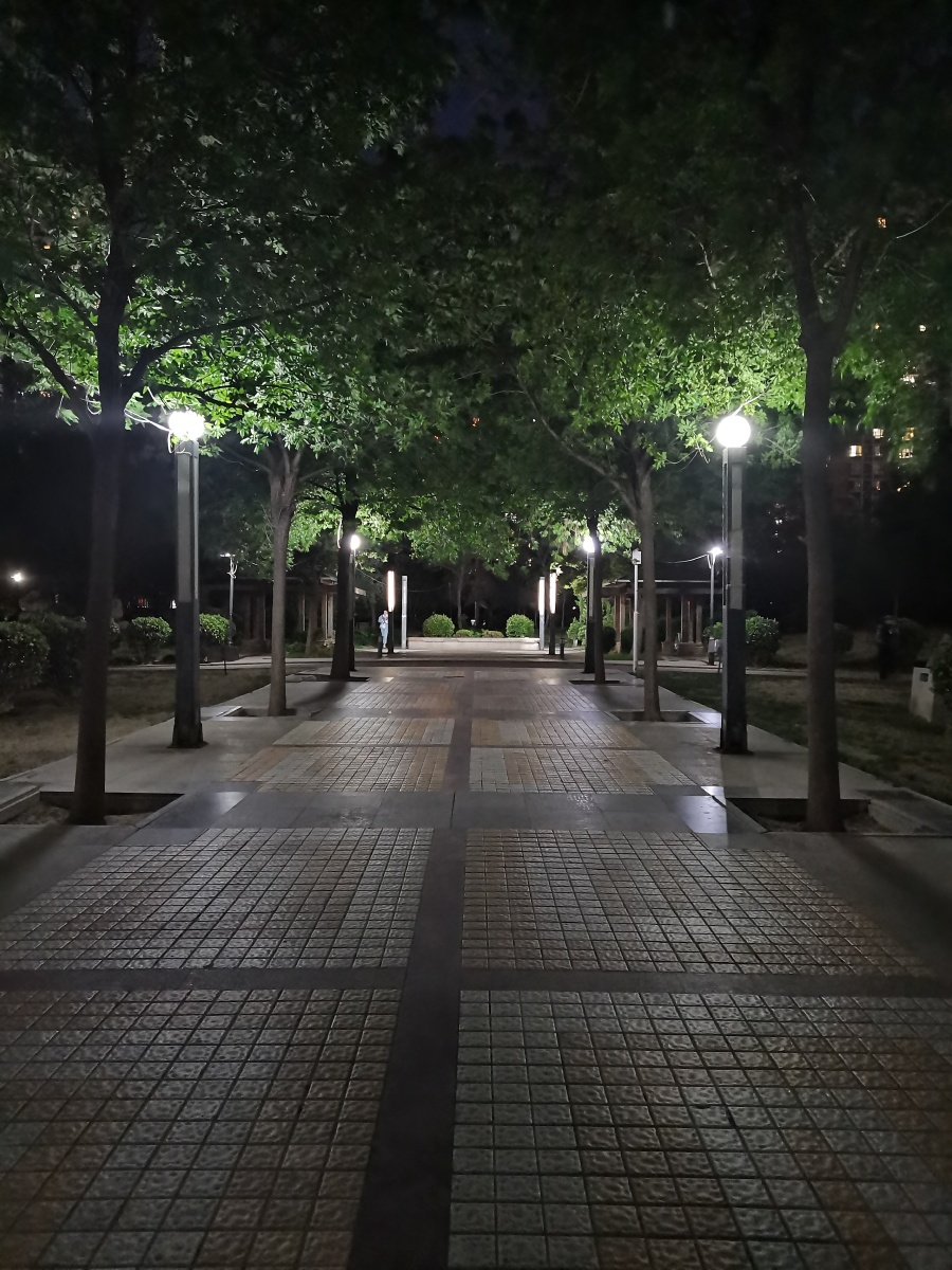 夜晚幽静的小路我听见了一个熟悉的声音:你是否在我心里?