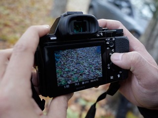 s16