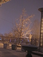 494312