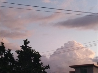 259932