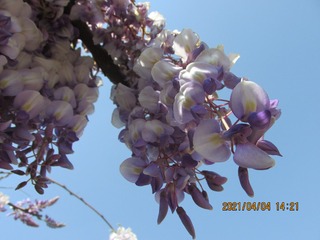 7B990DA9-5EFF-4710-93CC-275C3625AA9E/L0/001