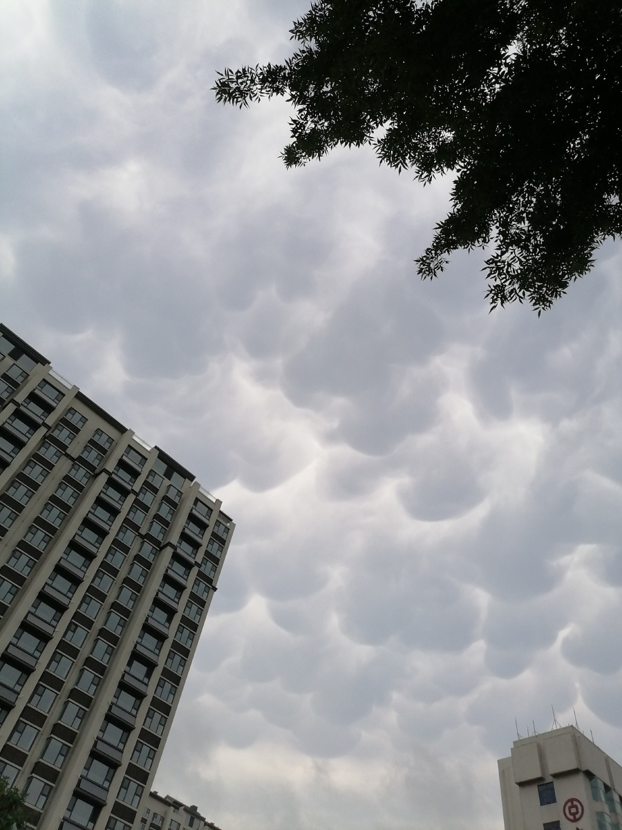 天气不好也不错