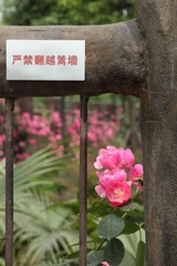 禁止出墙
