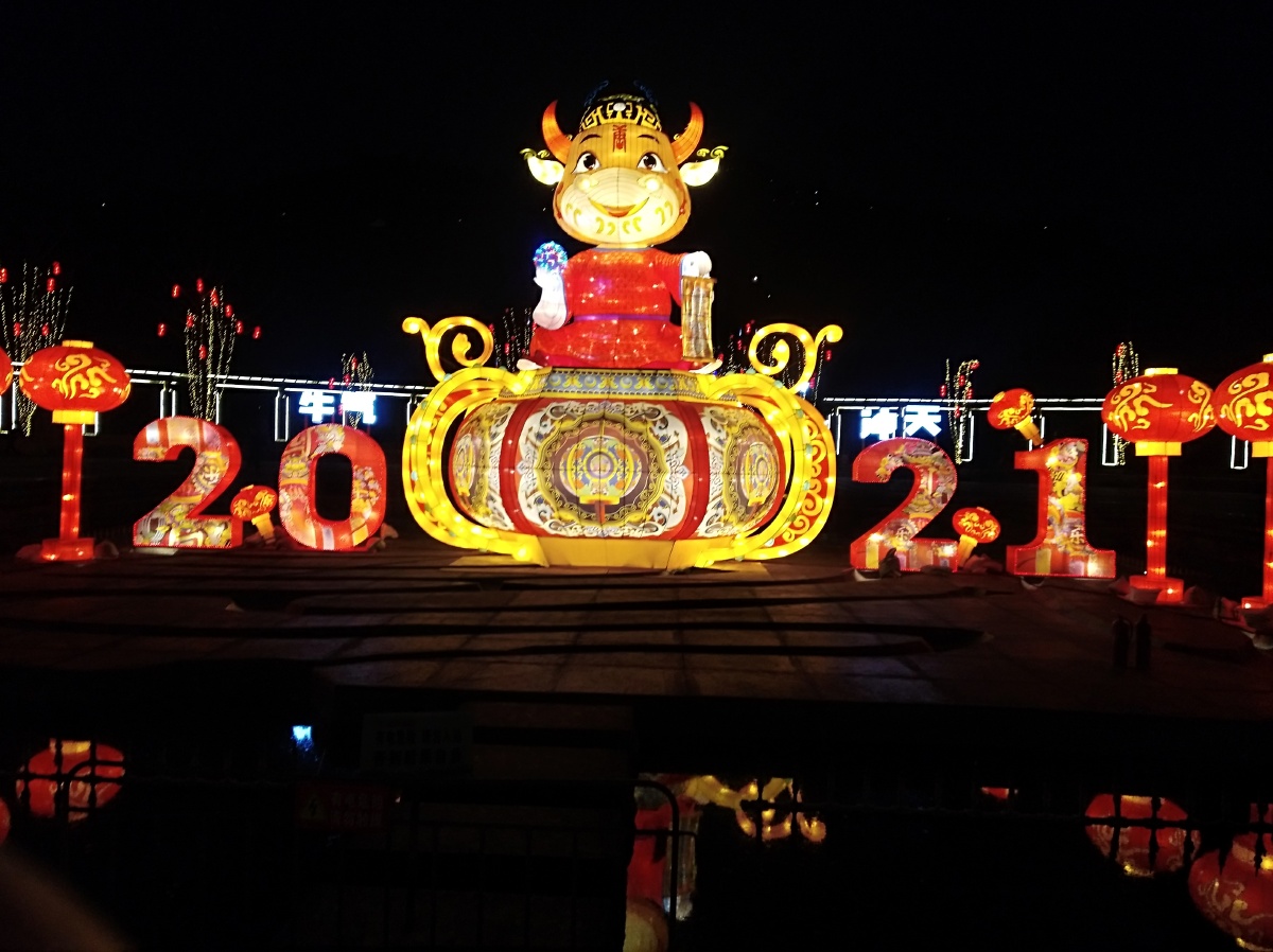 长寿区夜晚的菩提山