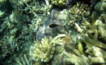 IMG_0138.jpg