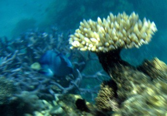 IMG_0166.jpg