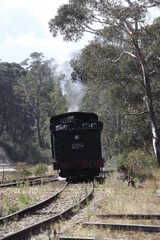 Steam Train