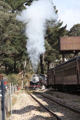 Steam Train
