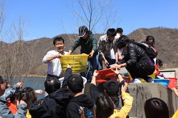 分鱼