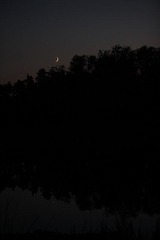 孤星伴月