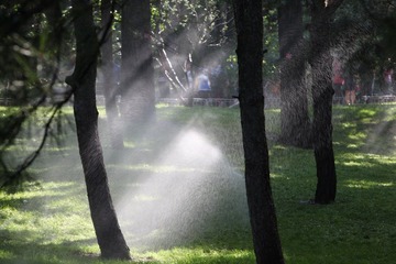 水光