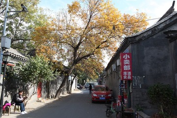 胡同里