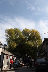 胡同口