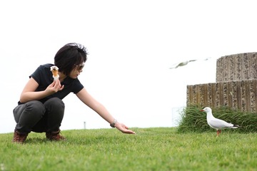 Feeding
