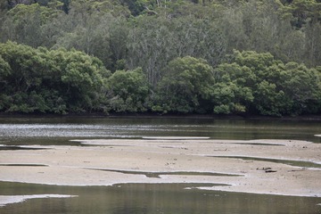 Shoals