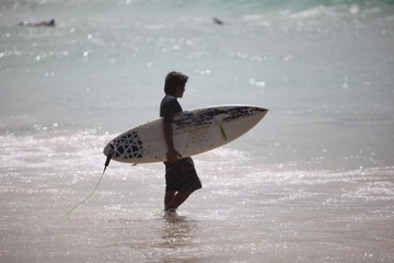 Go Surfing